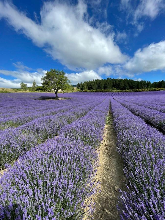 À mont nos hôtes 2 Mollans-sur-Ouvèze Exterior foto